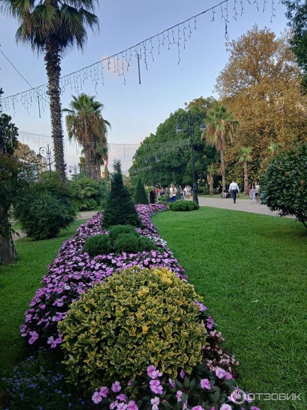 Сочи. Источник: https://i2025.otzovik.com/2025/09/23/17704593/img/2623923_46024694.jpeg