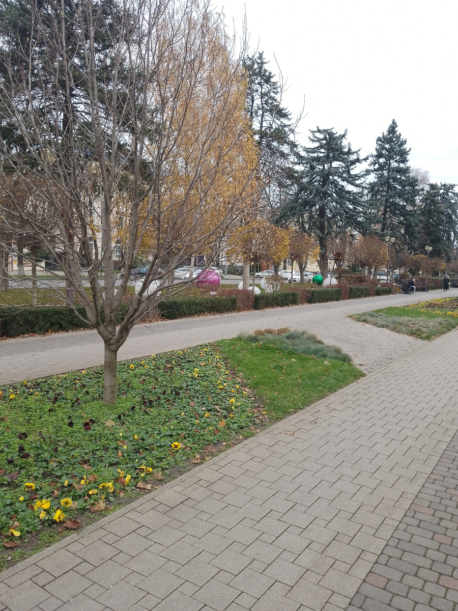 Краснодар. Улица Красная. Фото автора.