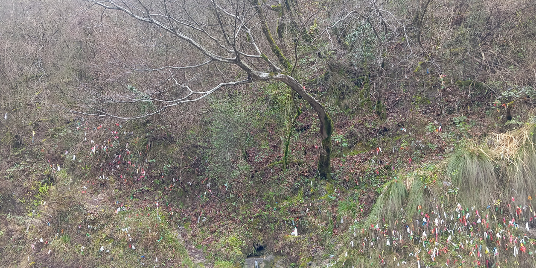 Разное отношение