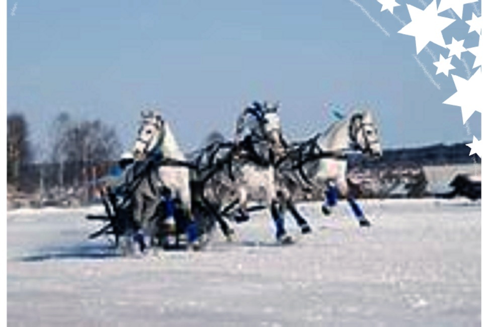 Куда мчишься, Русь-Тройка?..