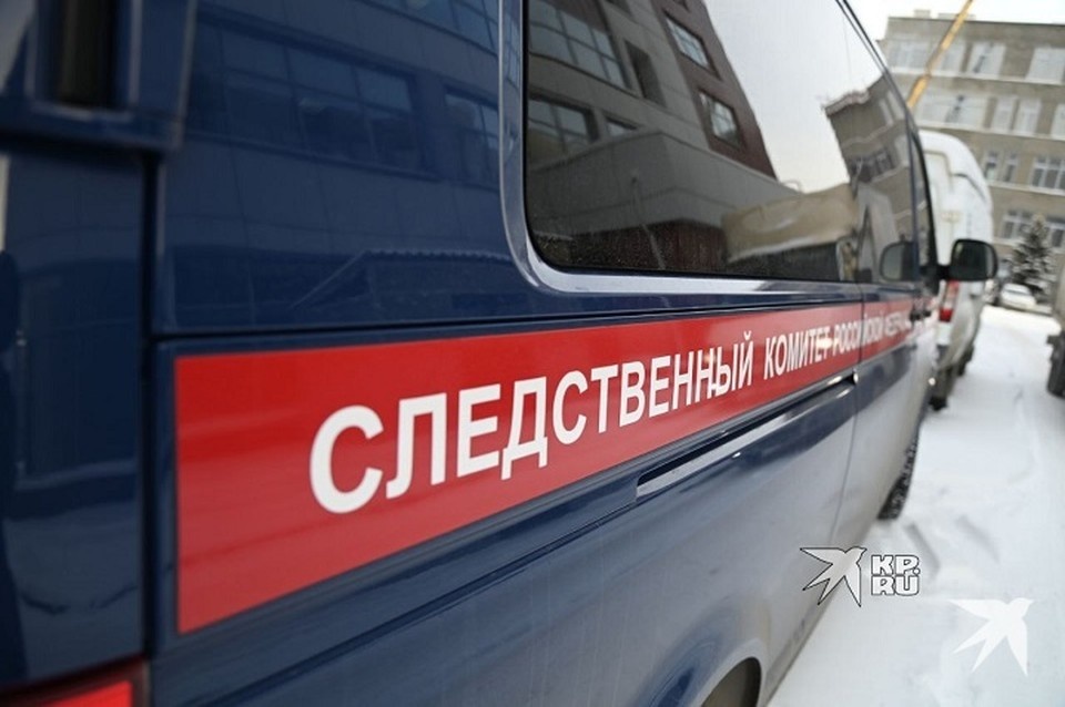    Следственный комитет возбудил уголовное дело по статье 213 УК РФ «Хулиганство» Ольга ЮШКОВА