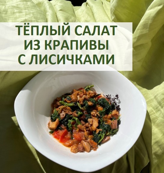 Крапива встречается с лисичками