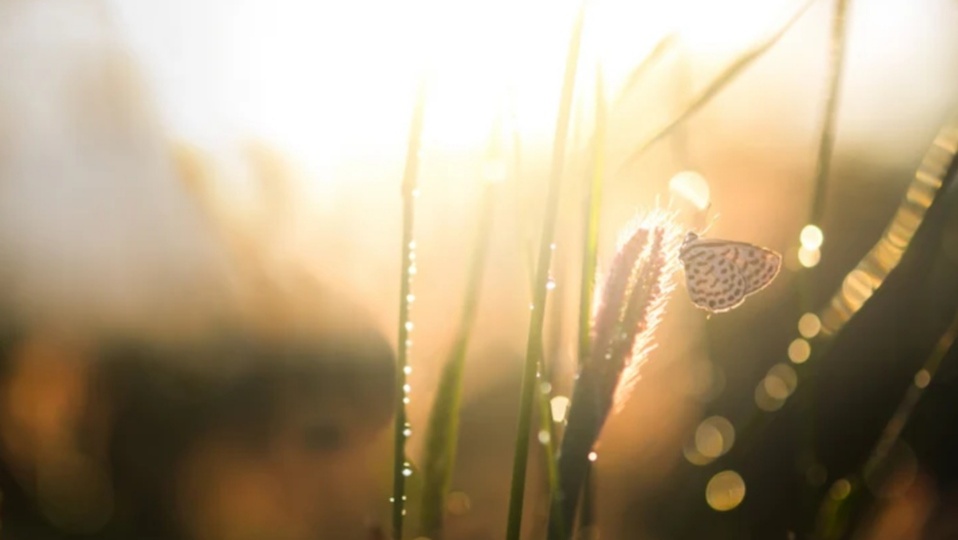 Эклампсия, кома и второй шанс. Как я родила и не помню этого.