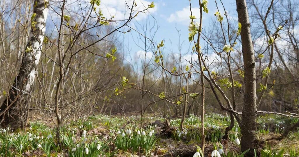 Новые законы апреля