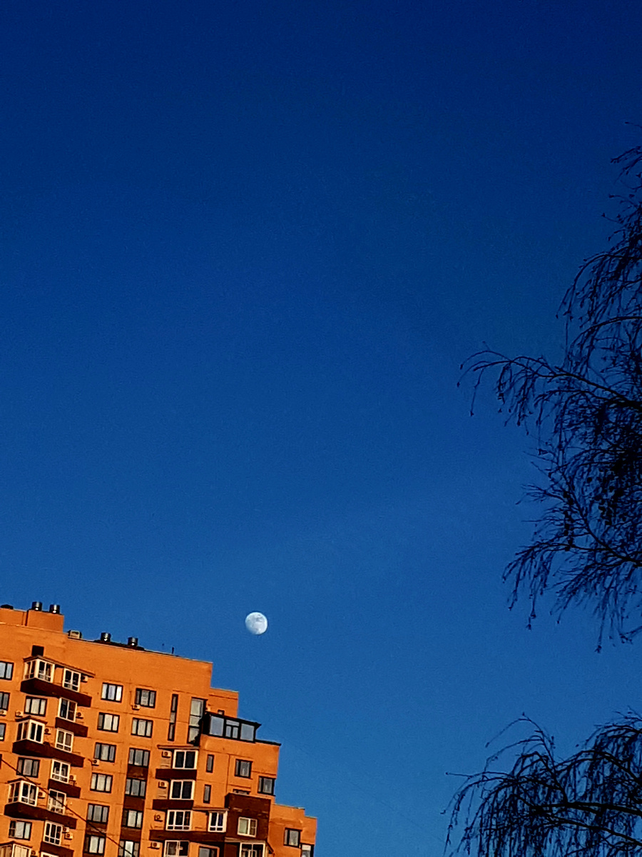 Фото автора 30.03.2026г.