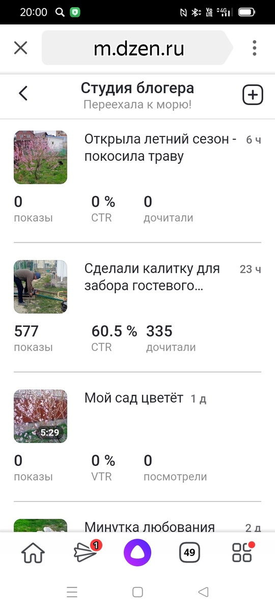 Про калитку просмотры и показы есть, хотя их стало раза в три меньше