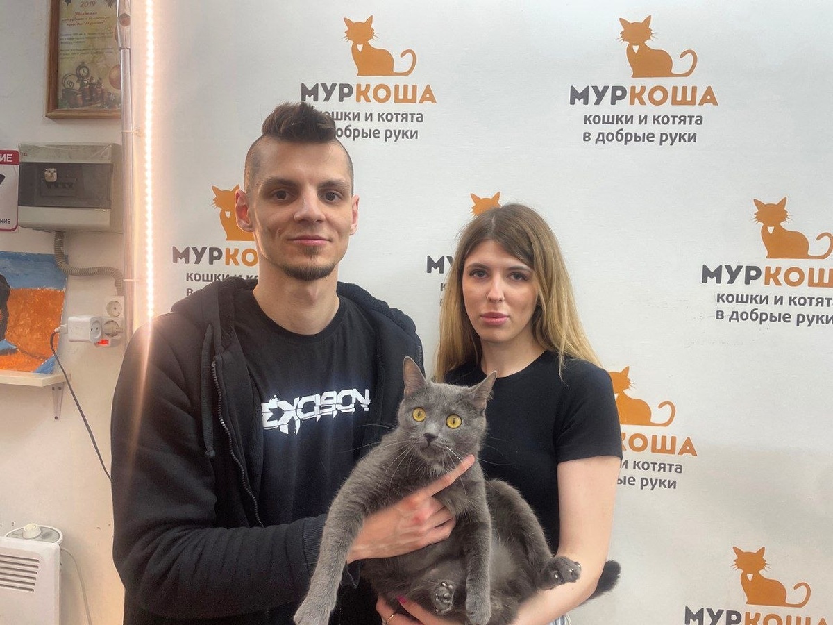 Котик встретил свою судьбу. 