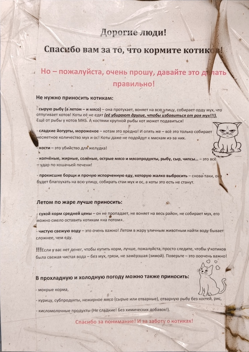 Памятка о с рекомендациями по правильному уходу за уличными котиками. Котики милые! Берегите котиков!