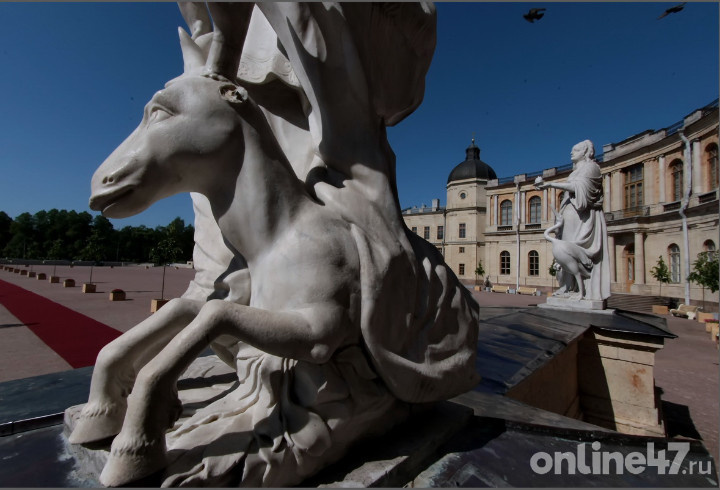 фото: Валентин Илюшин/Online47