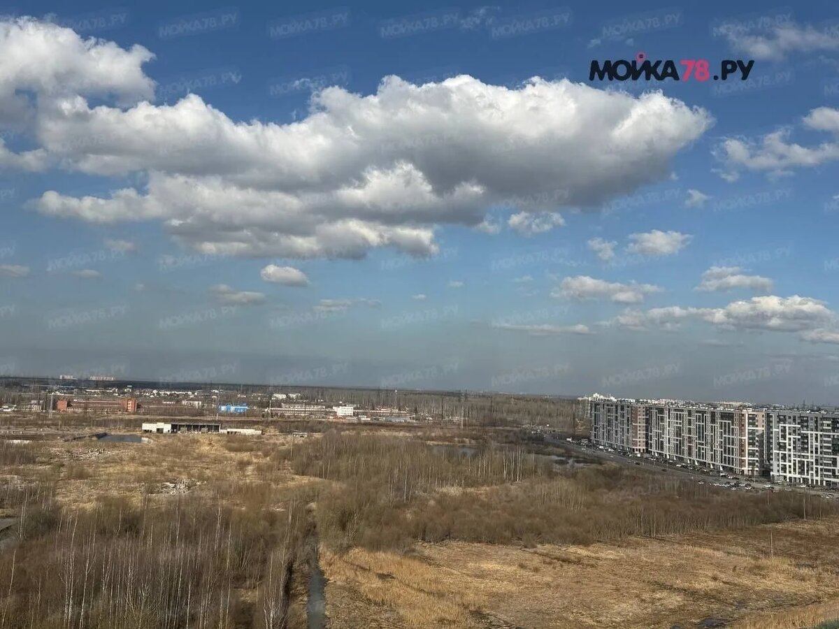    Фото: читатель Мойки78