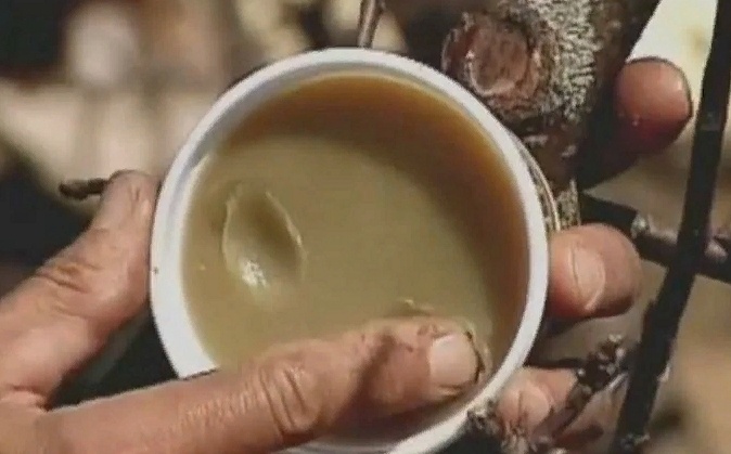 Природный садовый вар своими руками, который хвалил ещё Мичурин