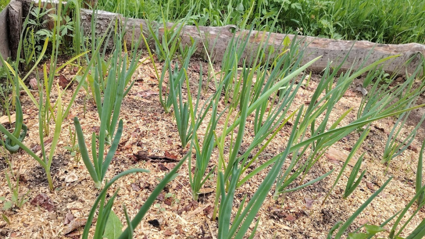    фото из архива редакции