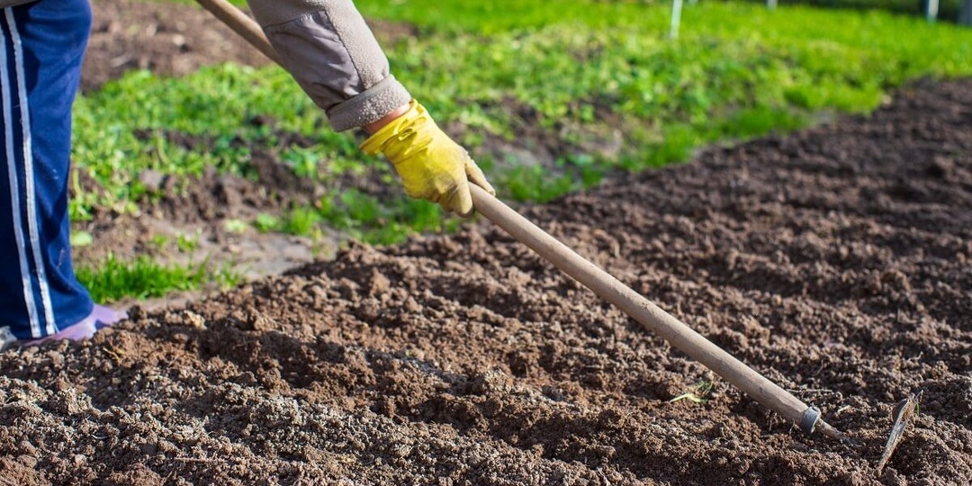 ВЕСНА НА ГРЯДКЕ: 7 ШАГОВ К УРОЖАЮ МЕЧТЫ — РАЗБУДИТЕ ПОЧВУ ПРАВИЛЬНО!