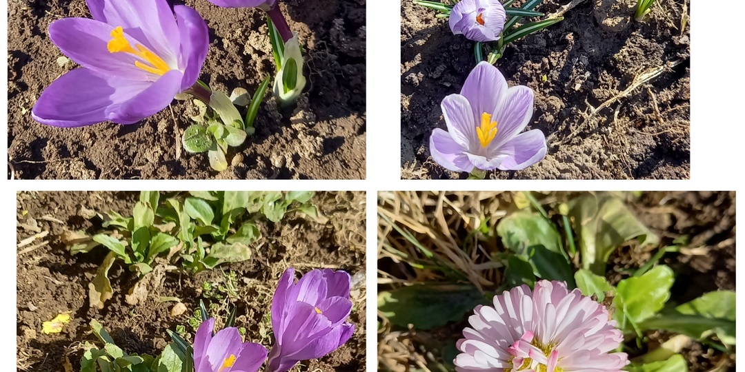 31.03.26. Пришло время подвести итоги продаж на Авито за март.