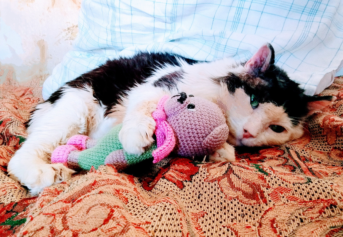 Дедуля спал с медведем сегодня