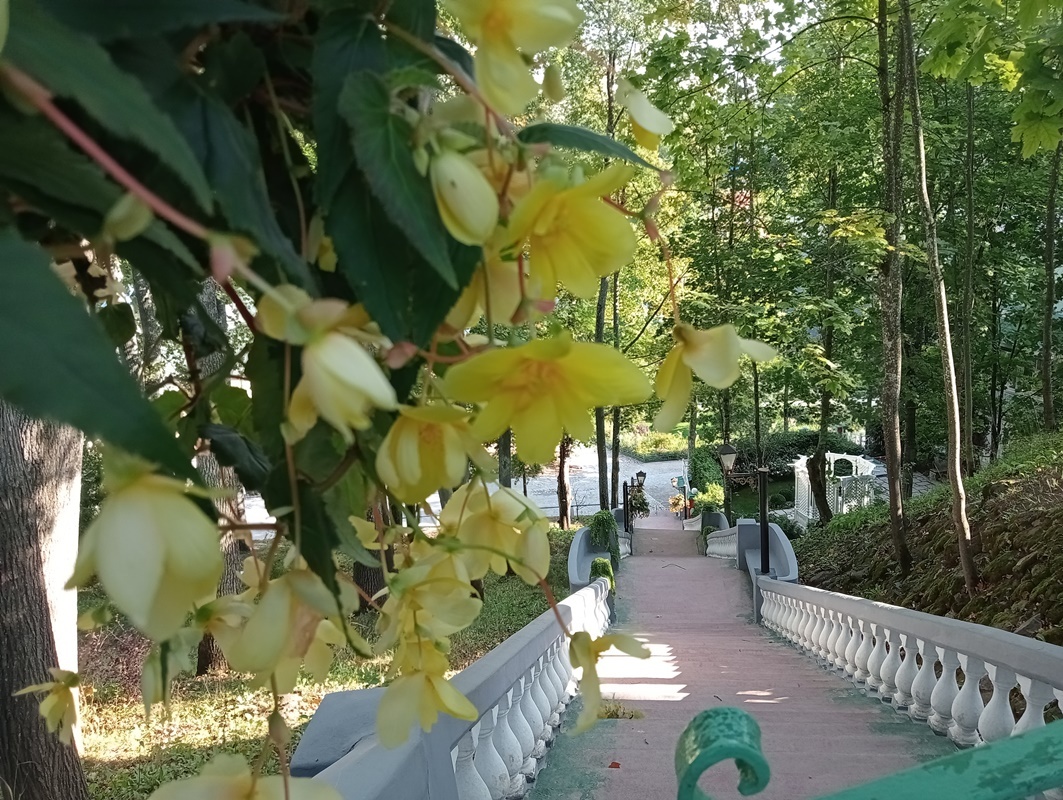 Свято‑Успенский Псково‑Печерский монастырь осенью