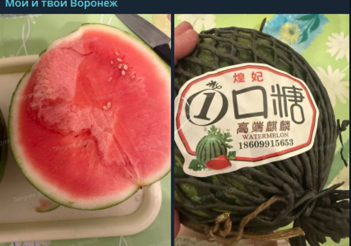    Фото: тг-канал "Мой и твой Воронеж"