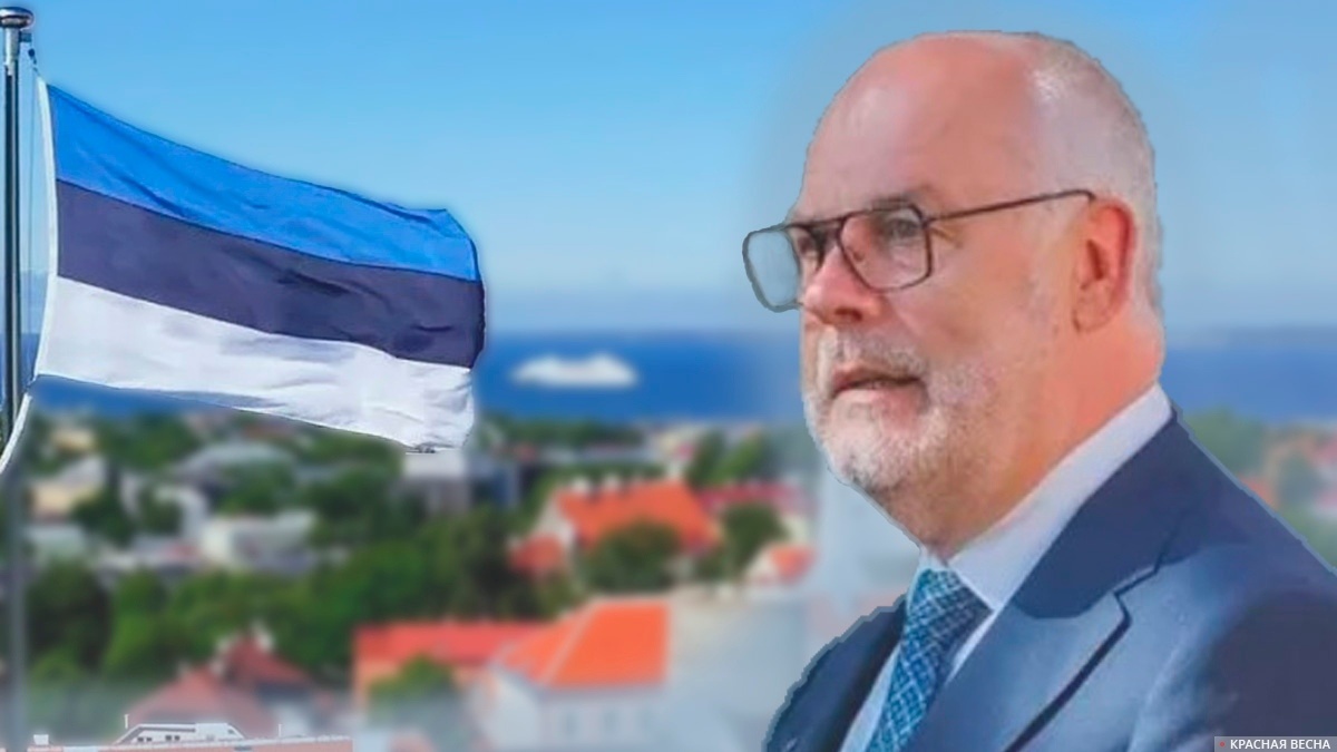     Президент Эстонии Алар Карис   
Лисютина Ольга © ИА Красная Весна