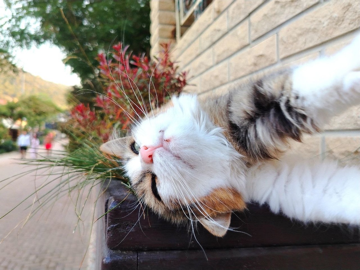 Личные фото автора 