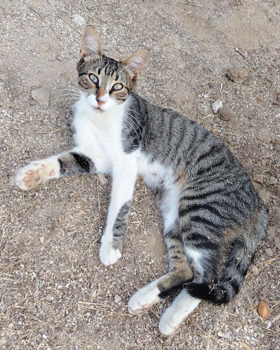 Личные фото автора 