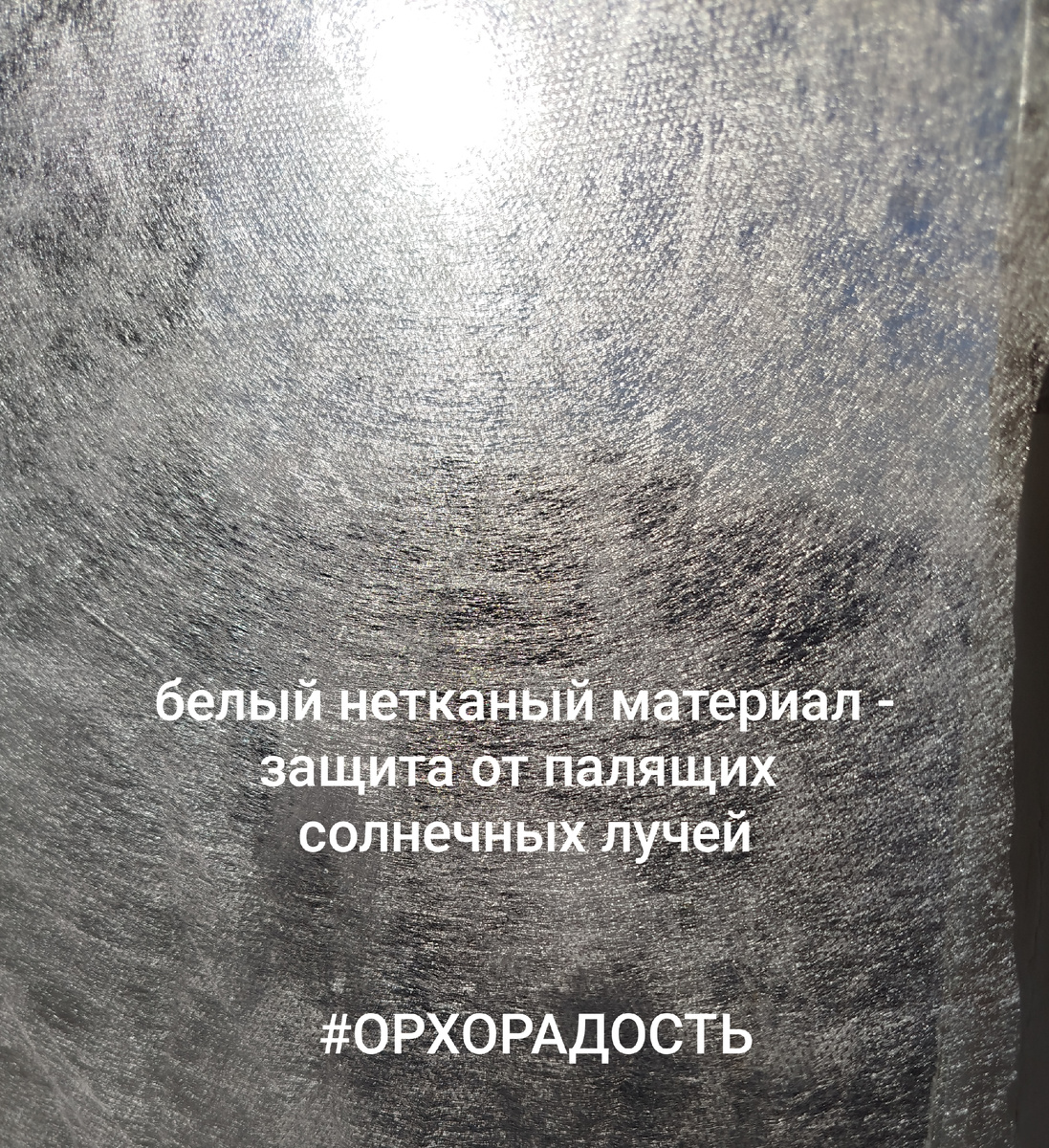 Притенение растений с помощью нетканого материала