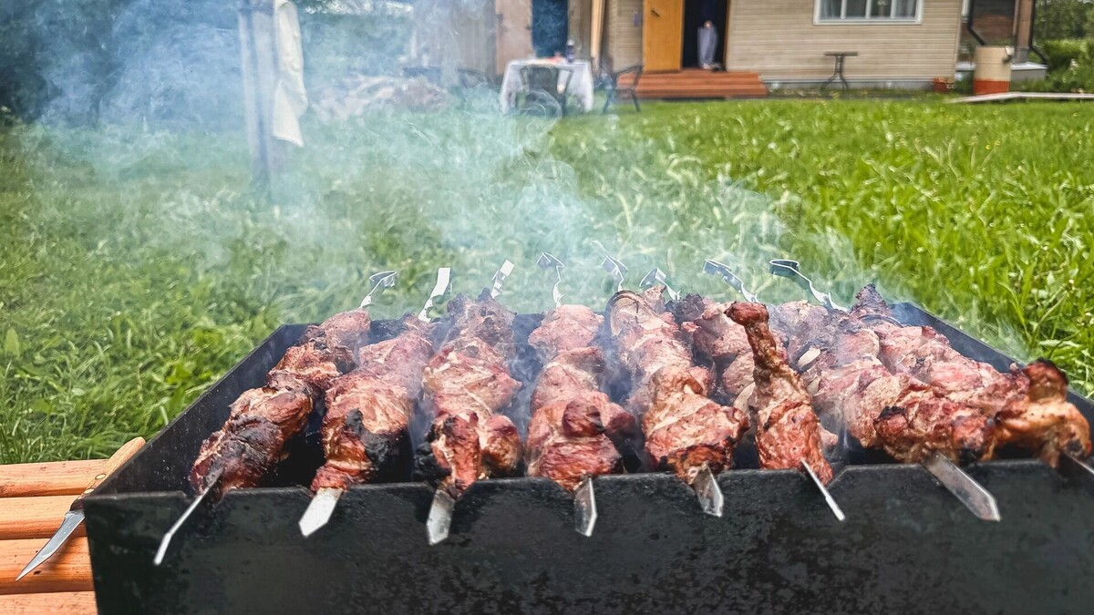    Ростовчанам рассказали, где запрещено жарить шашлыки   1MI