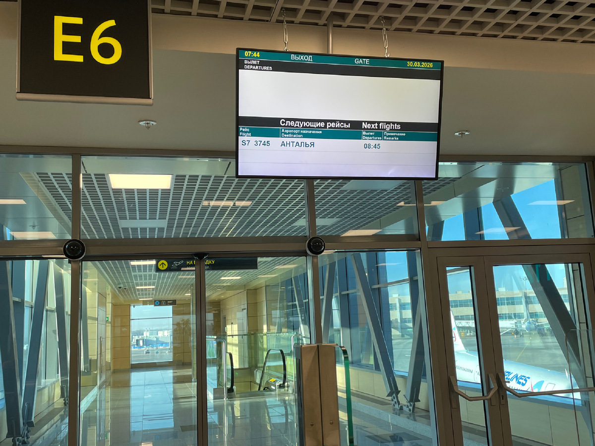 Перед полетом