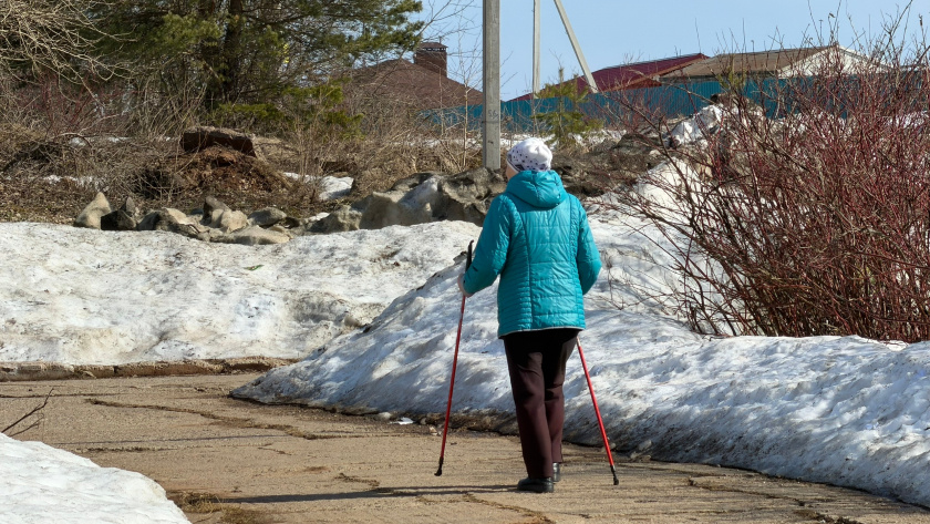    Фото progorod43.ru