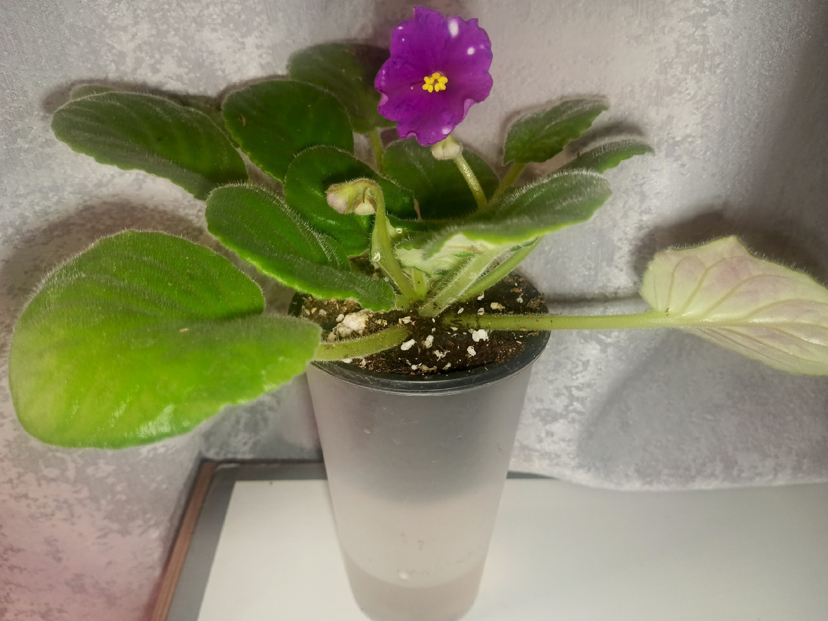 Из личного архива