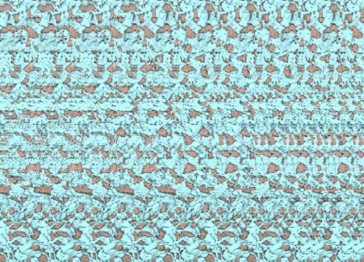 Стереограммы-загадки: волшебство третьего измерения