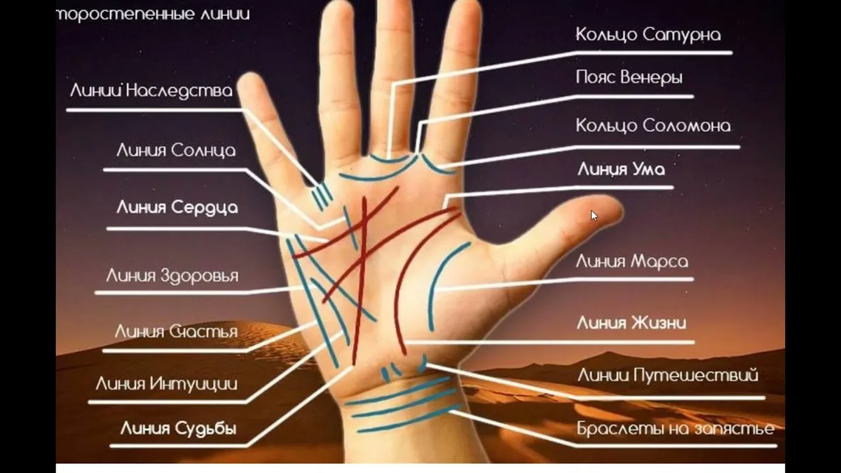 Ищем линию Судьбы и Линию Ума