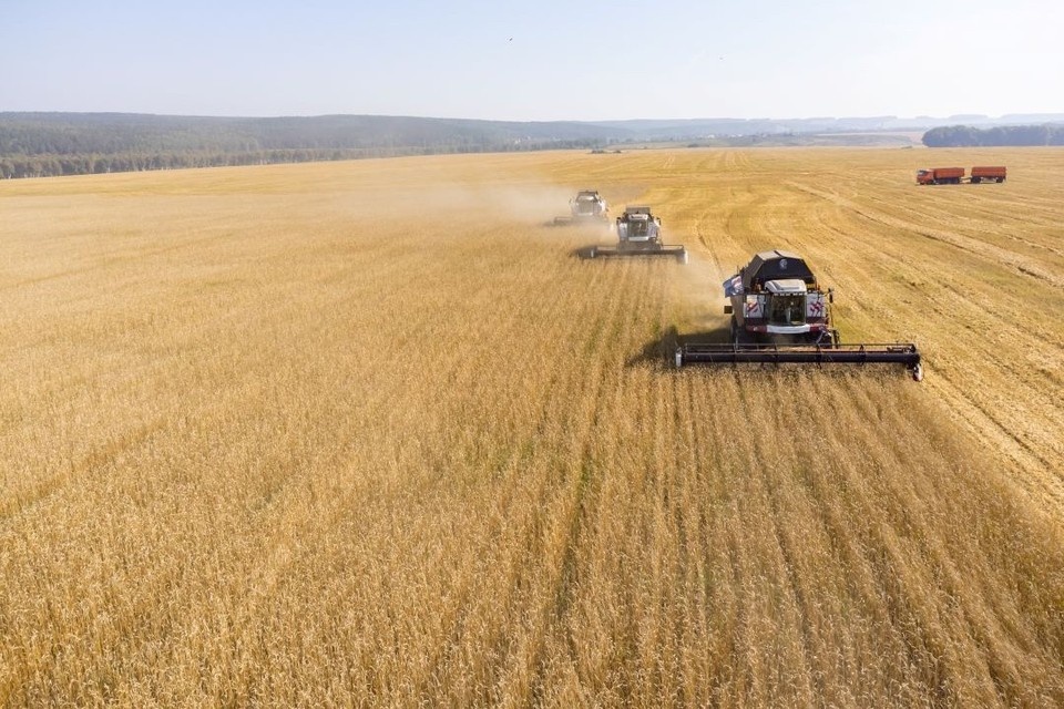   В Ростовской области засеяли первые 240 тысяч гектаров весенних культур. ЛЕНЦ Мария | Архив КП