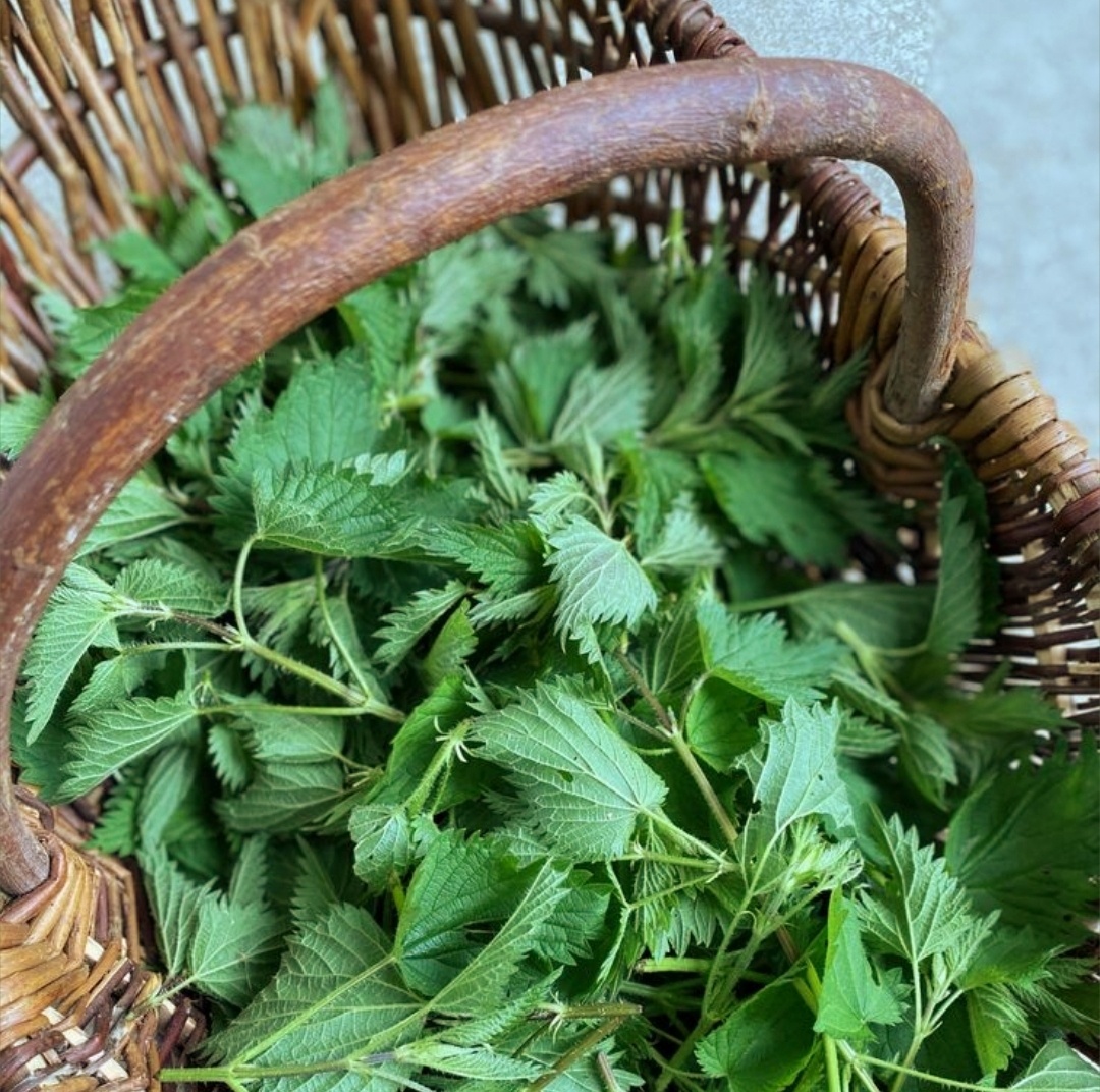 Фото из пинтереста.