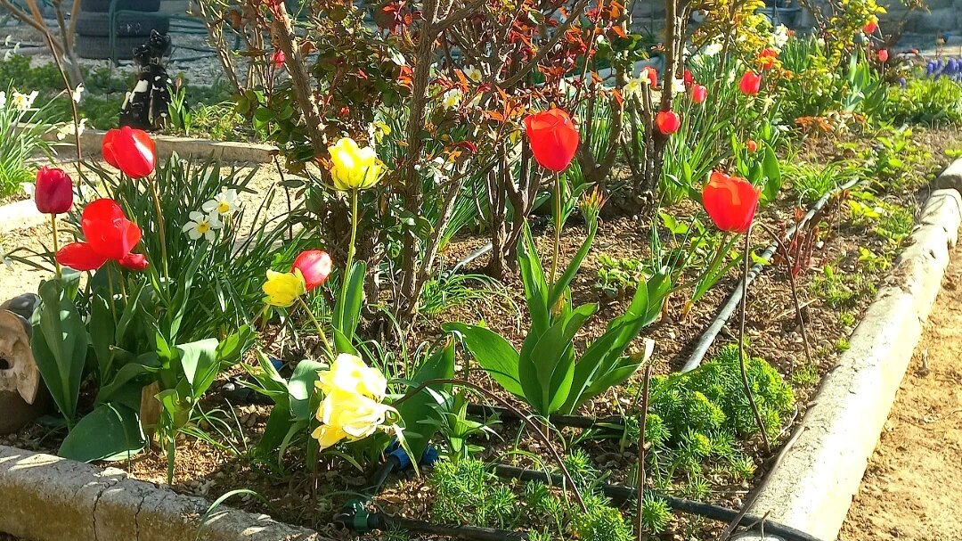 Совсем скоро будет уже такая красота. 
