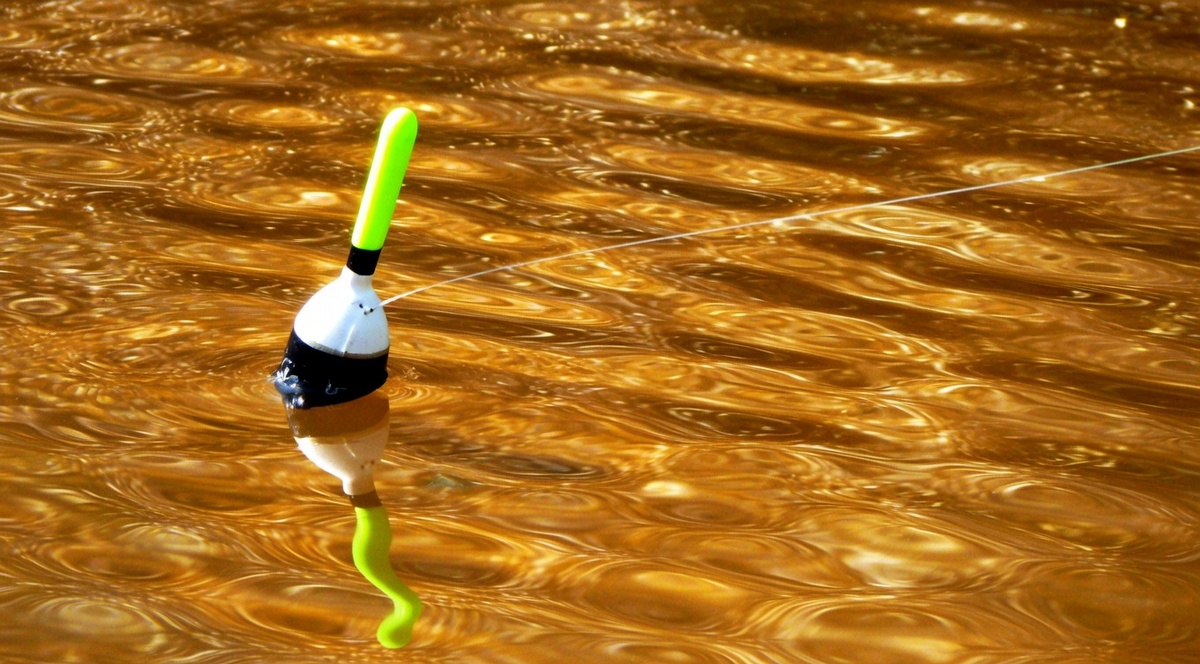 Поплавок предательски молчит