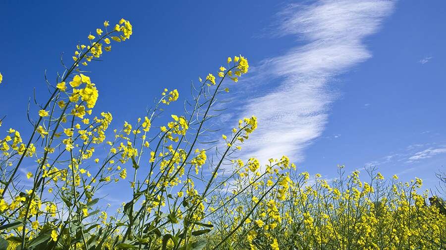    Фото: Global Look Press/Jürgen Wackenhut