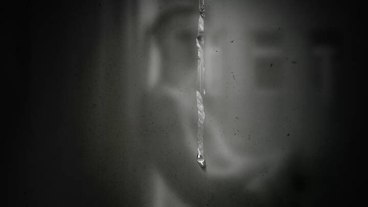  Фото: Мария Левина