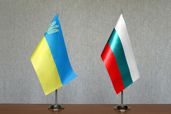 Shutterstock/FOTODOM   📷