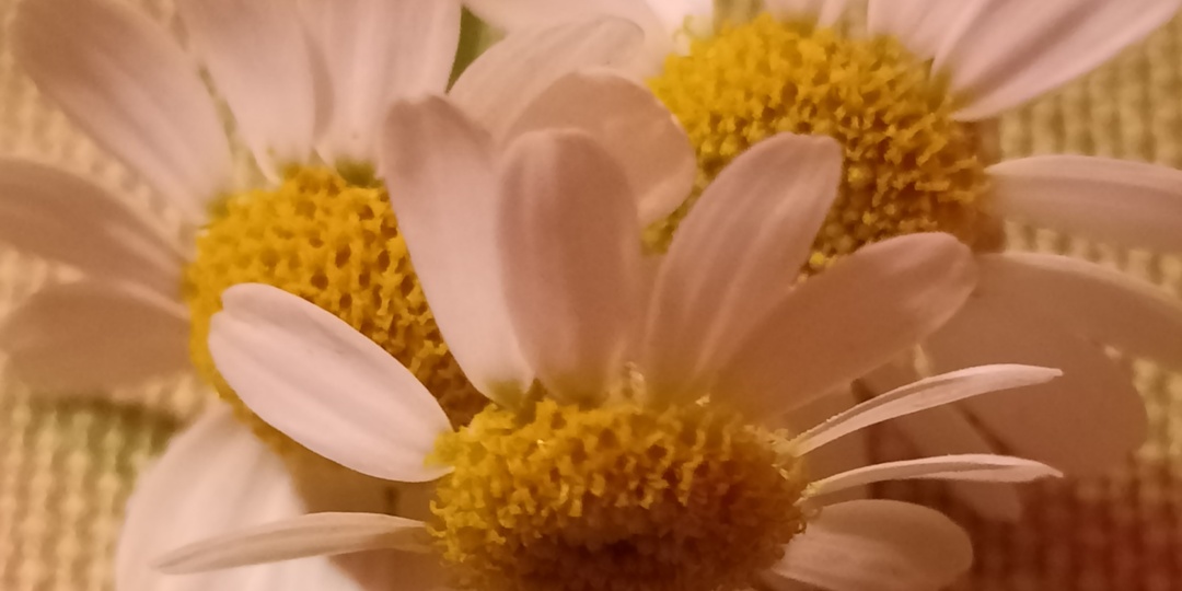 Пн. 30.03.26 г. По делам, покупки. Всё взялось пирогами.