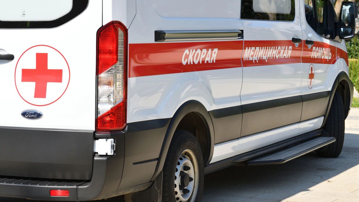    Фото: BestPhotoPlus/Shutterstock/Fotodom