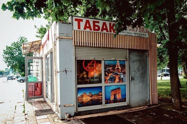   Елена Морозова/«Парламентская газета»