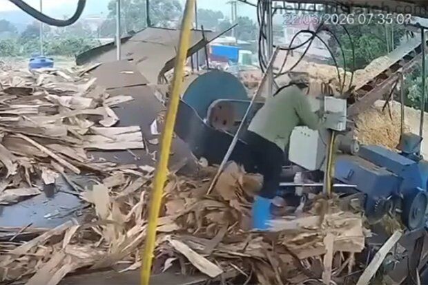     / Источник: © Кадр из видео