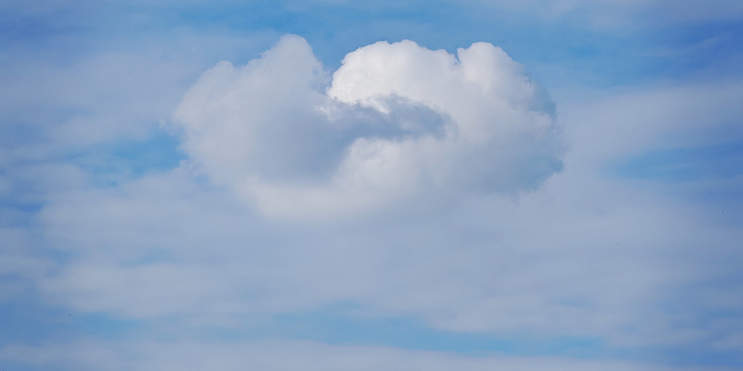 Настал месяц обследований