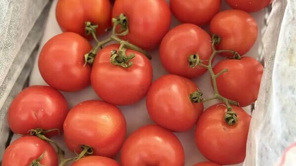    © Южное межрегиональное управление Россельхознадзора