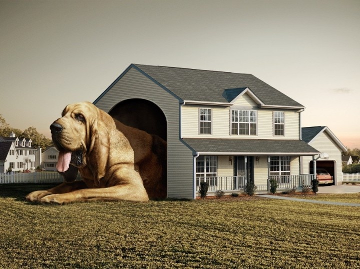 Фото с сервиса Яндекс-картинки.