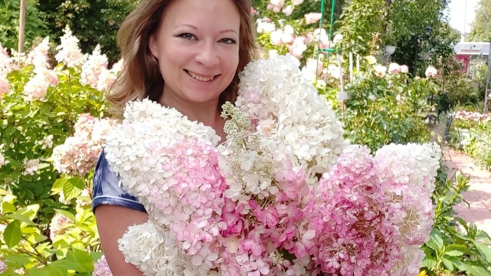 Эти гортензии заставят соседей кричать от восторга. Топ 10 фантастических гортензий для вашего сада