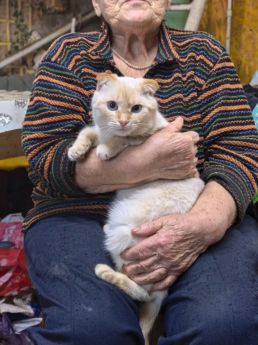 Бабушка с любимым котом Маркизом, который от нее не отходит.