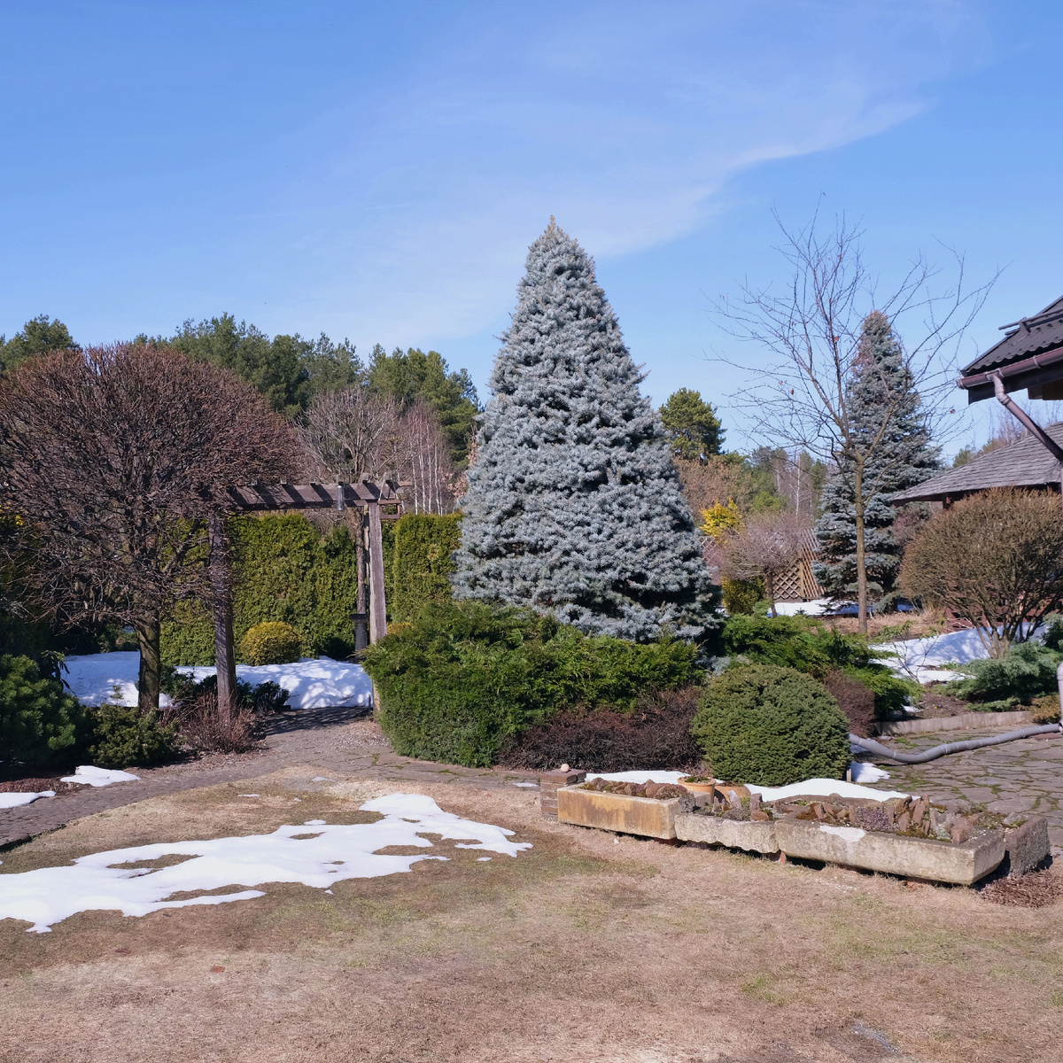 Снег тает, но кое-где еще лежит