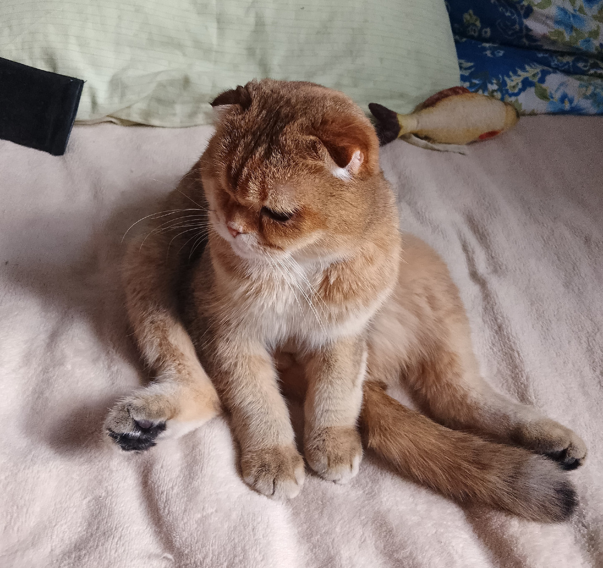 Не нравятся мне эти твои неприятности.... В следующий раз дверь им не открывай