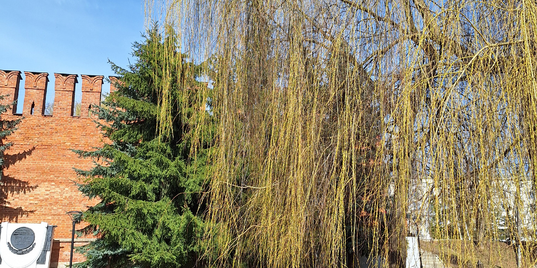 Март заканчивается, весна продолжается